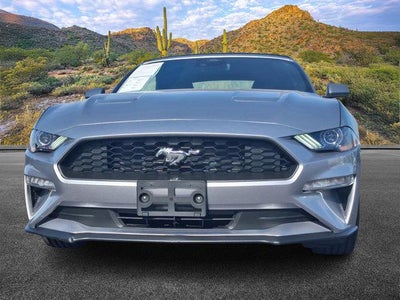 2023 Ford Mustang EcoBoost