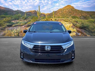 2024 Honda Odyssey EX-L
