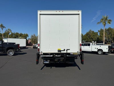 2024 Chevrolet Low Cab Forward 5500 XD NA