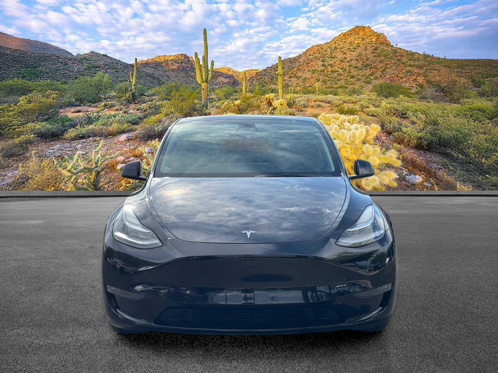2023 Tesla Model Y Long Range