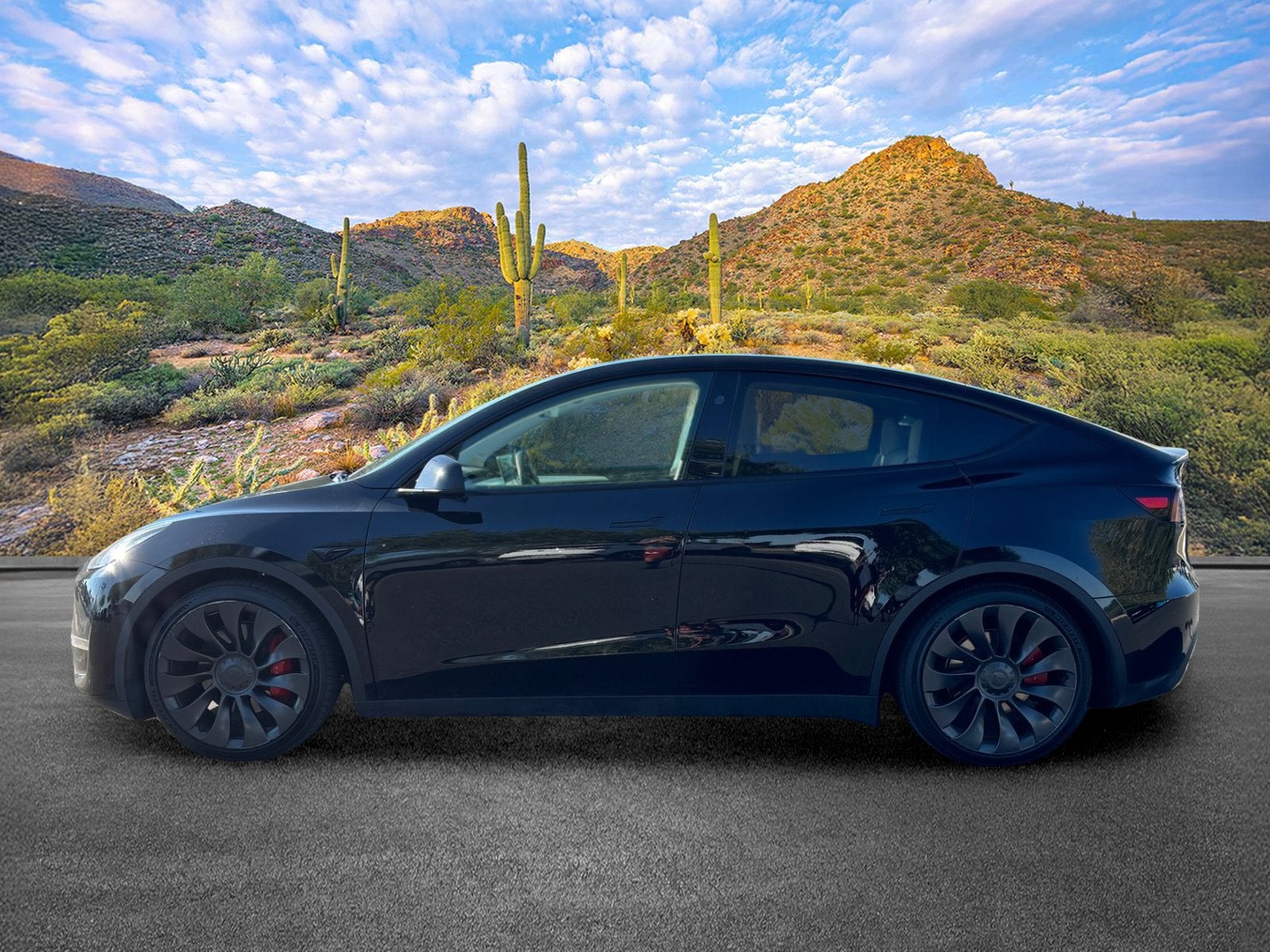 2023 Tesla Model Y Performance