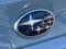 2019 Subaru WRX STI Series.Gray