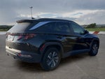 2024 Hyundai Tucson Hybrid Blue