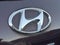 2021 Hyundai Palisade SEL w/ Premium Package
