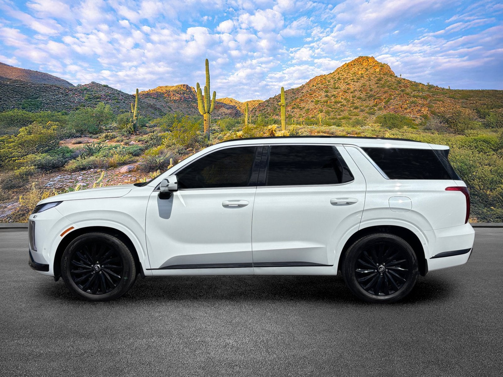 2025 Hyundai Palisade Calligraphy Night Edition