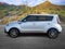 2019 Kia Soul !